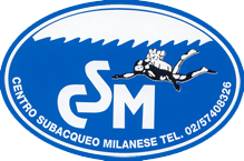 logo1